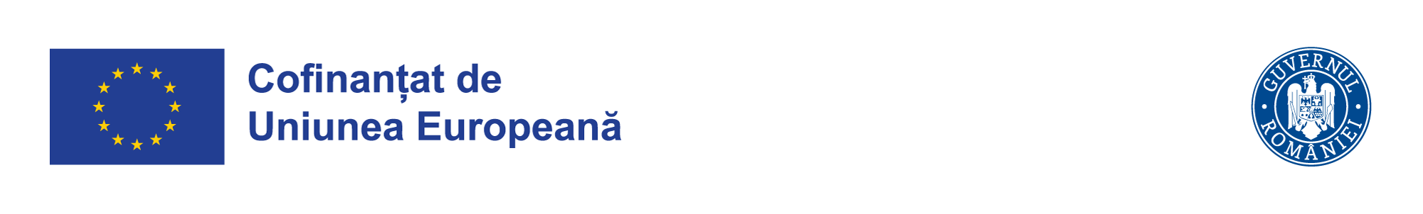 Banner-Identitate-Vizuala-PEO